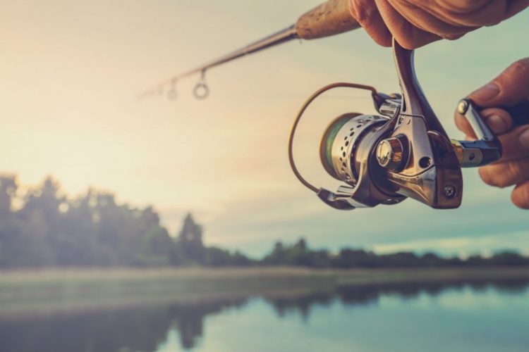 Best Fishing Reels for Beginners on a Budget