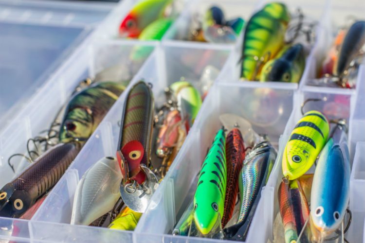 Best Fishing Lures: Finding the Right Set for You