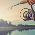 Best Fishing Reels for Beginners on a Budget