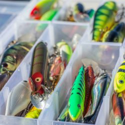 Best Fishing Lures: Finding the Right Set for You