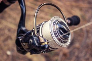 Best Fishing Reels: Quality and Functionality in One