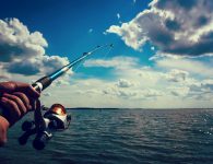 The Best Saltwater Spinning Reels