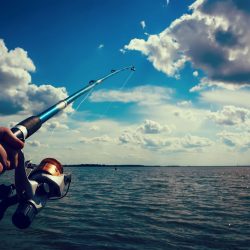 The Best Saltwater Spinning Reels